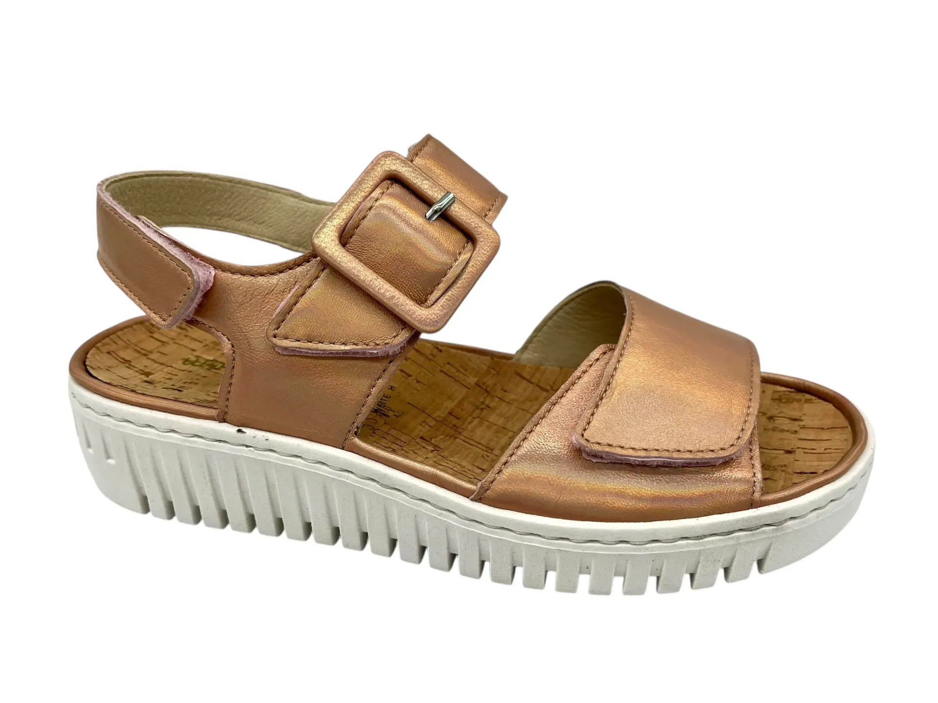 --Waldläufer--	H-Willow (4)