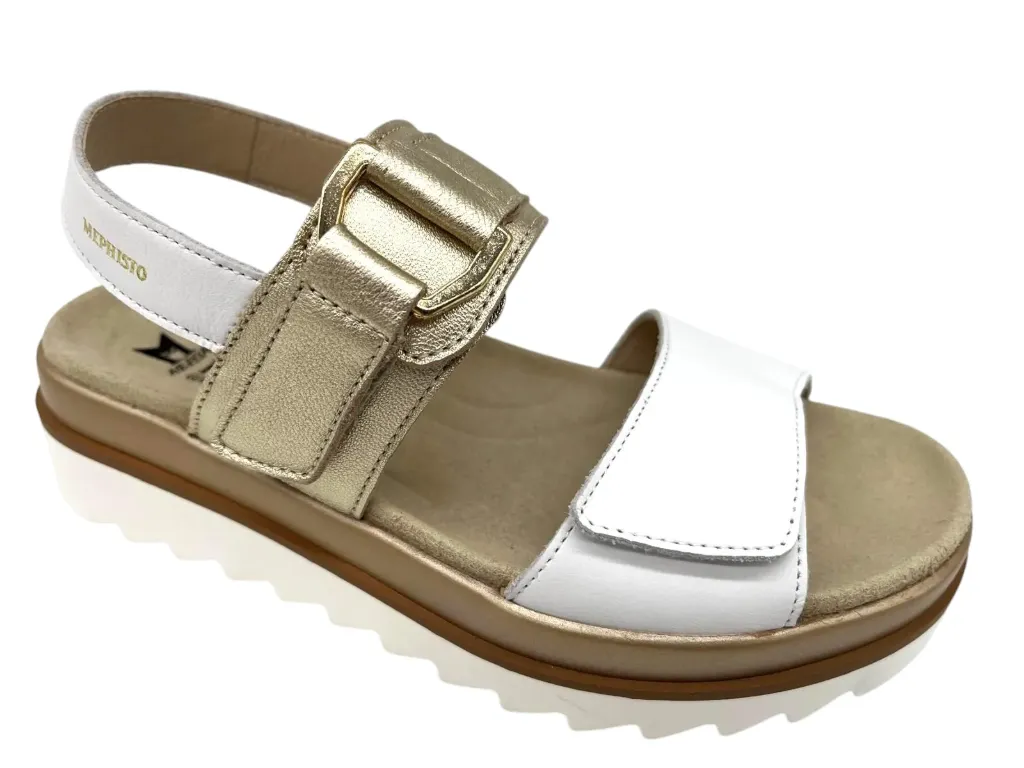 --Mephisto--	Dakota (35)