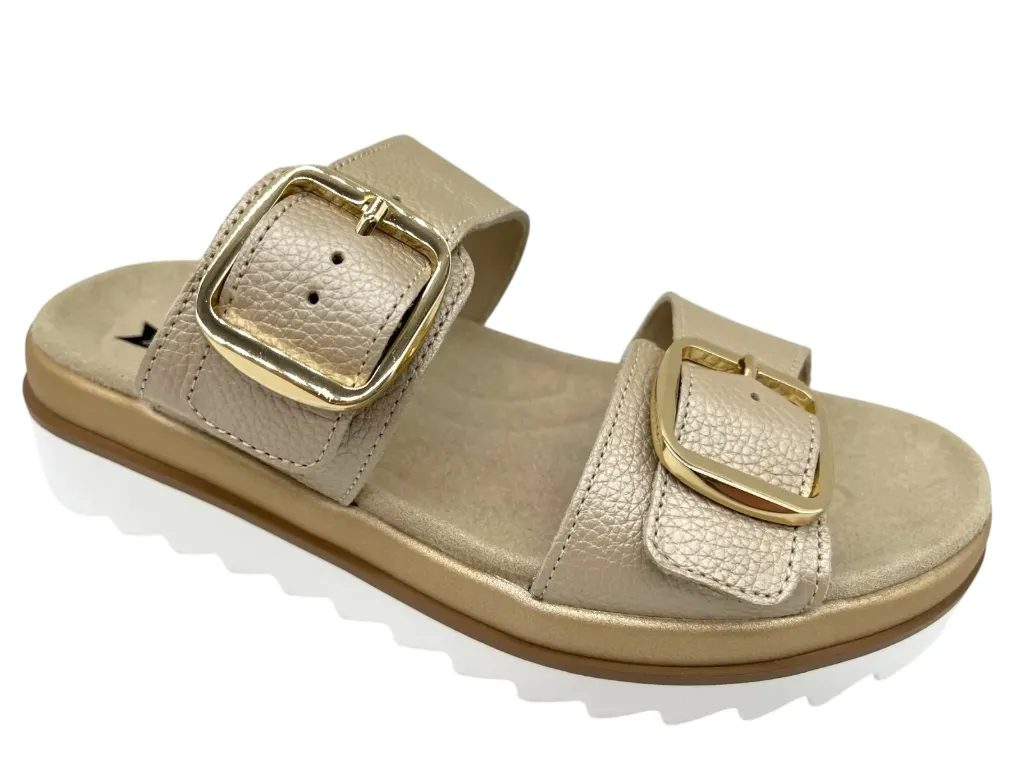 --Mephisto--	Deria (35)