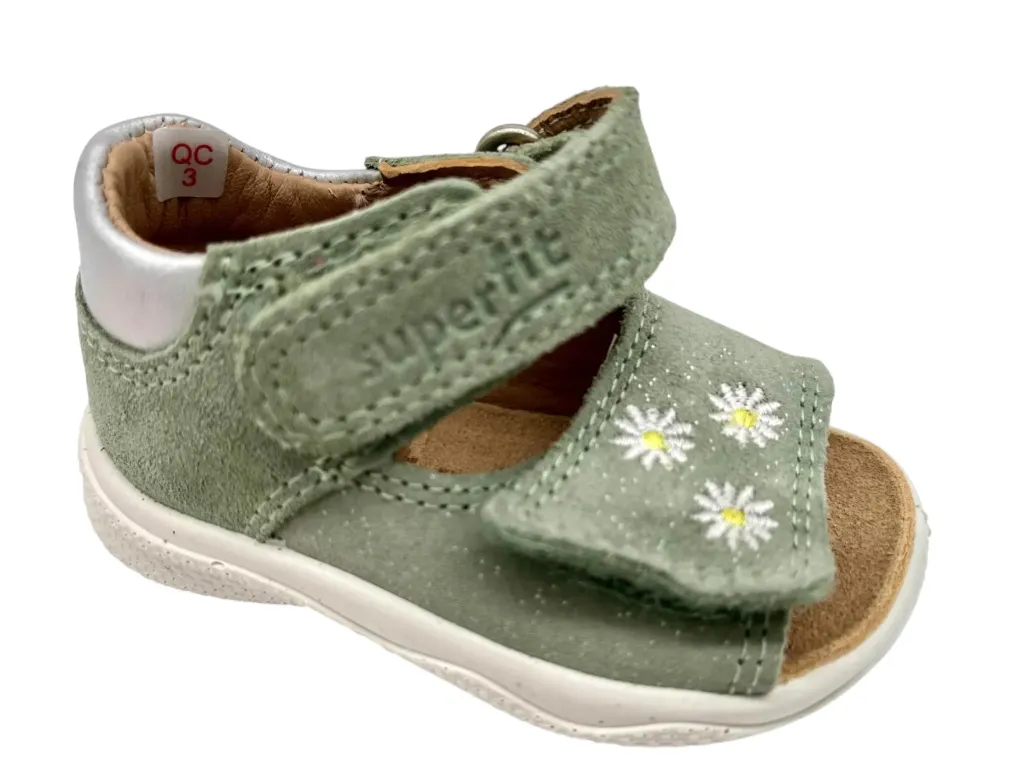 --SuperFit--	Polly (18)