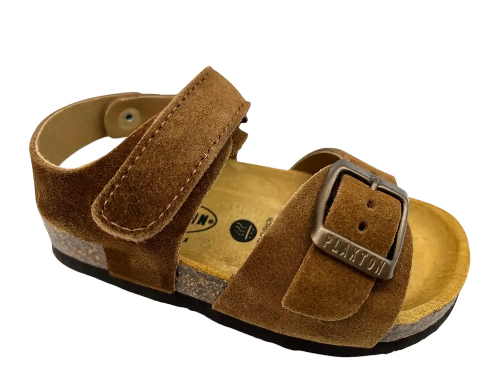 --Plakton--	Parker (24)