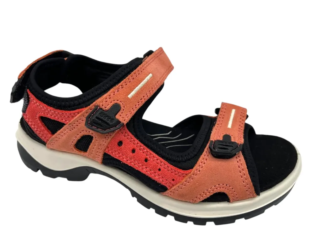 --Ecco--	Offroad (35)