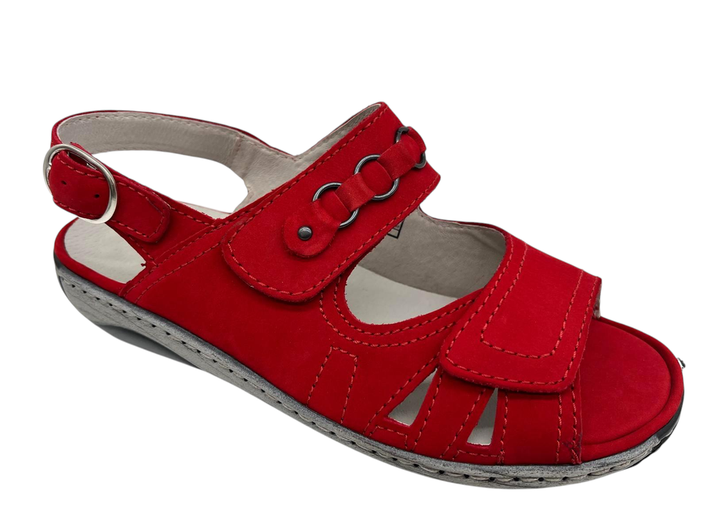 --Waldläufer--	Garda (2½)