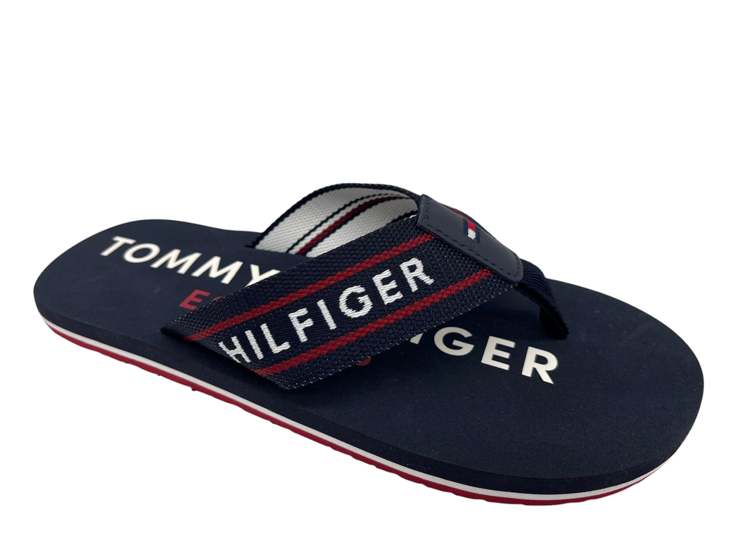 --Tommy Hilfiger--	Desert Sky (40)
