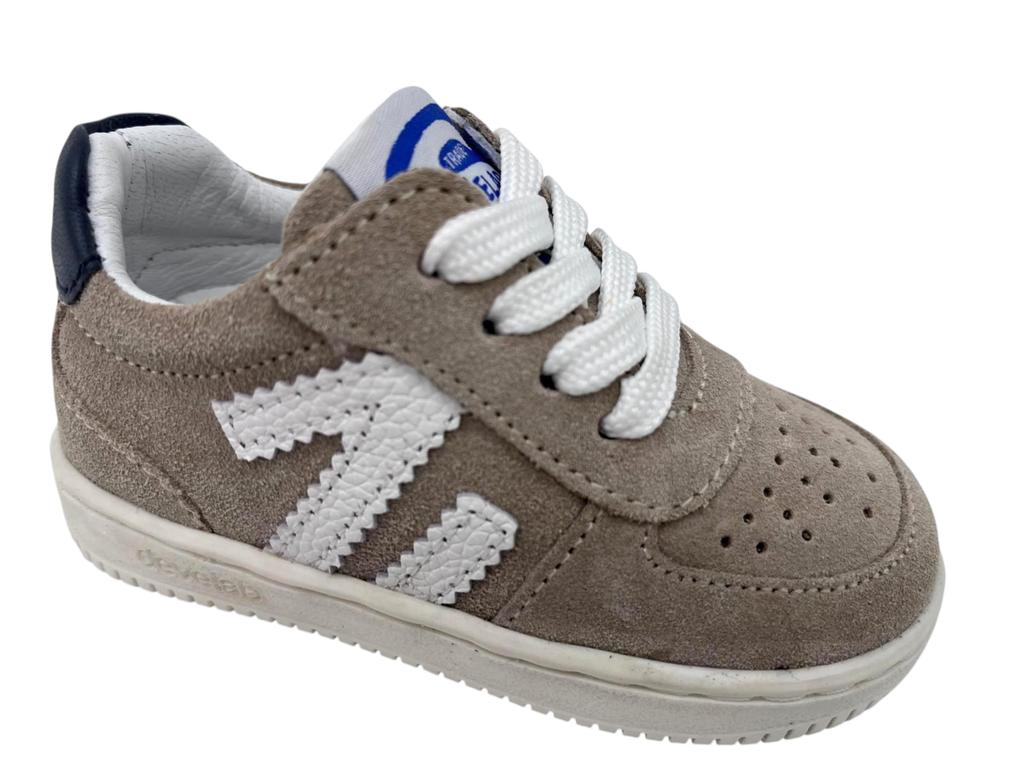 --Develab--	Hoher rie (19)