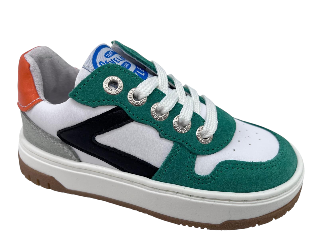 --Develab--	Halb rie (26)