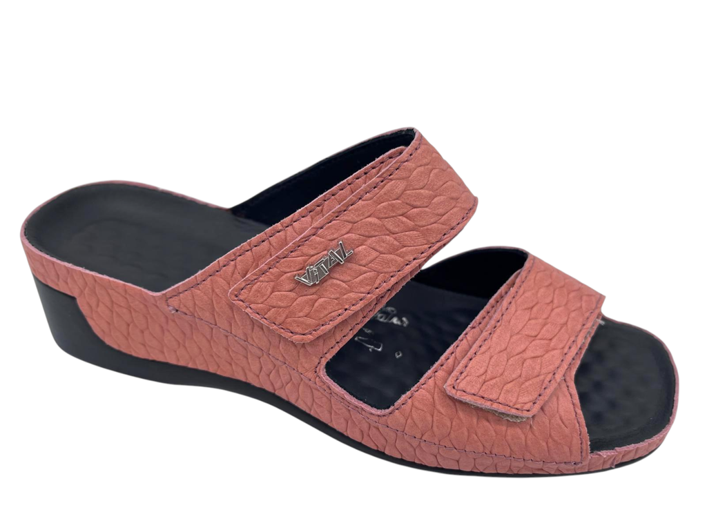 --Vital--	Mul 2 velcro (35)