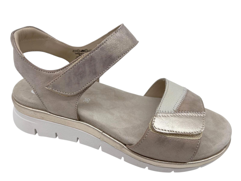 --Ara--	Cambridge (36)