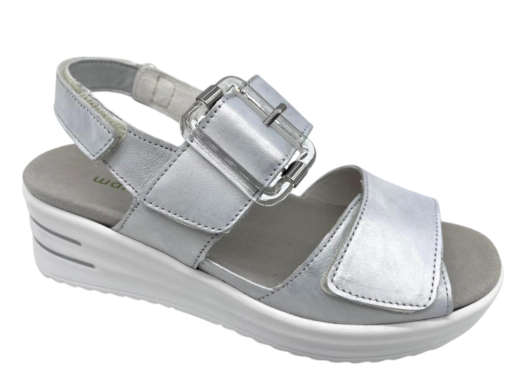 --Waldläufer--	H-Dina (3½)