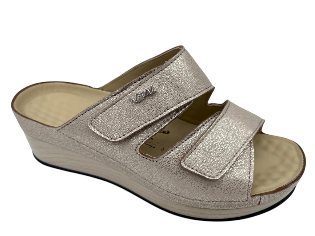 --Vital--	Mul 2 velcro (36)