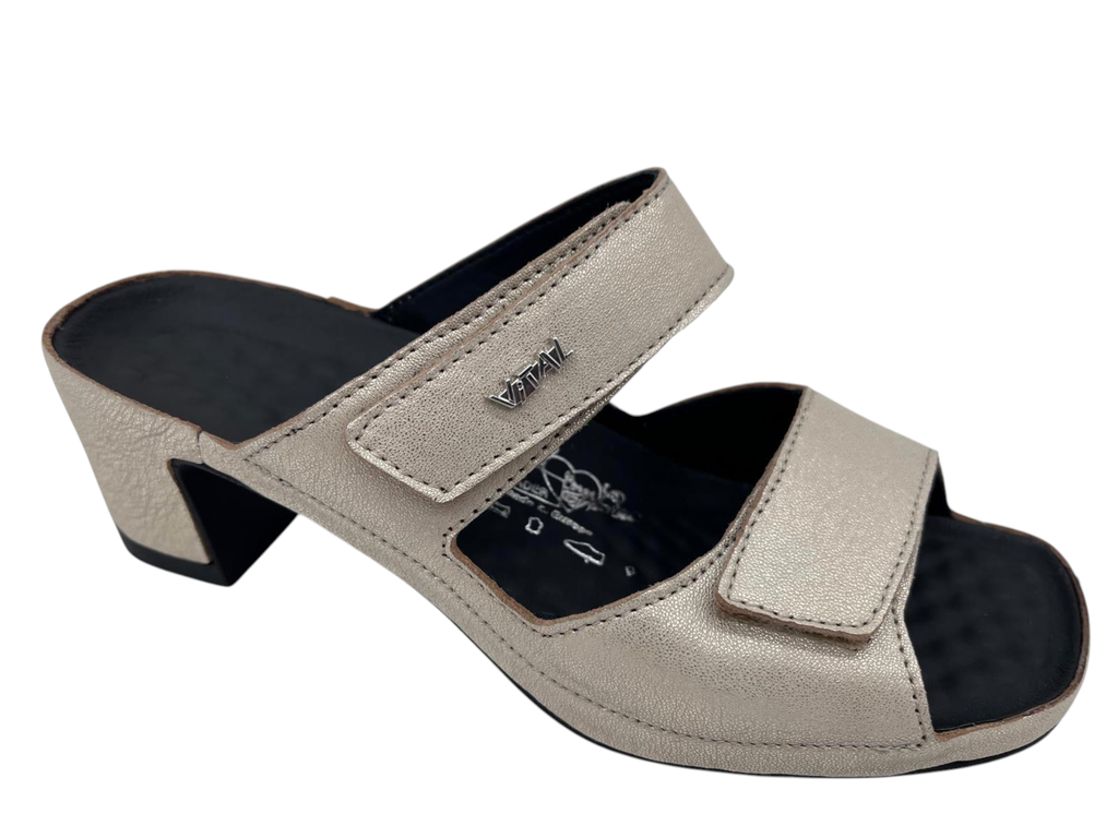 --Chadis--	Mul 2 velcro (35)