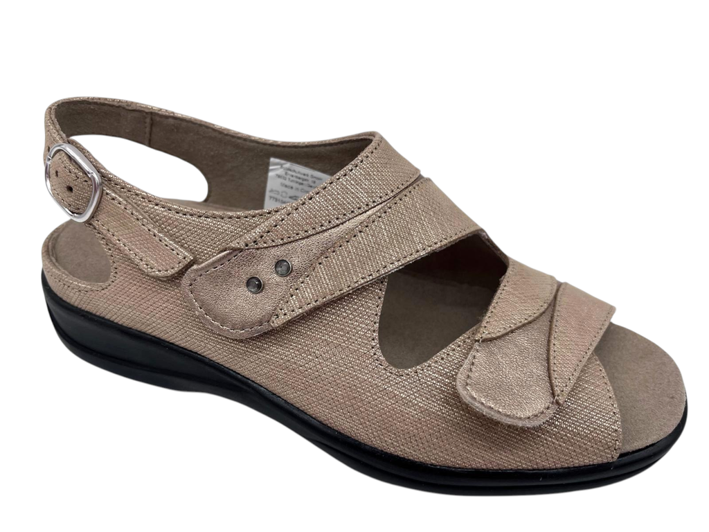 --Solidus--	Lia (2½)