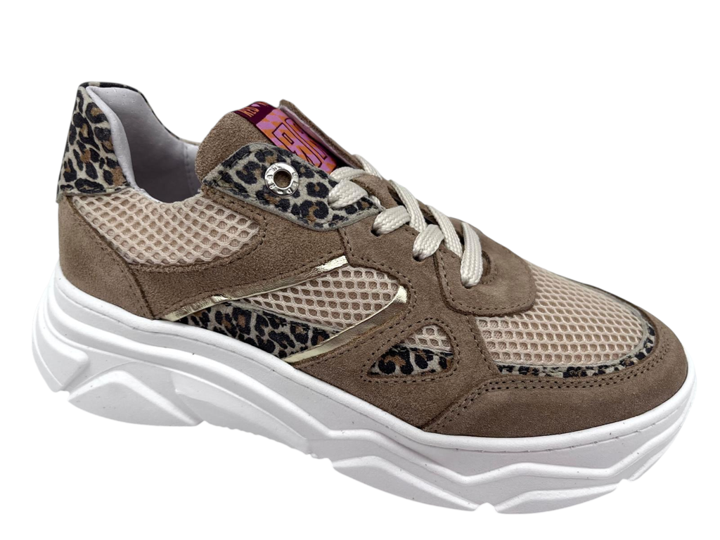 --Red Rag--	Halb rie (33)