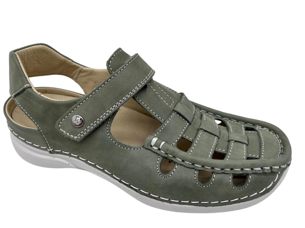 --Wolky--	Rolling Sun (36)