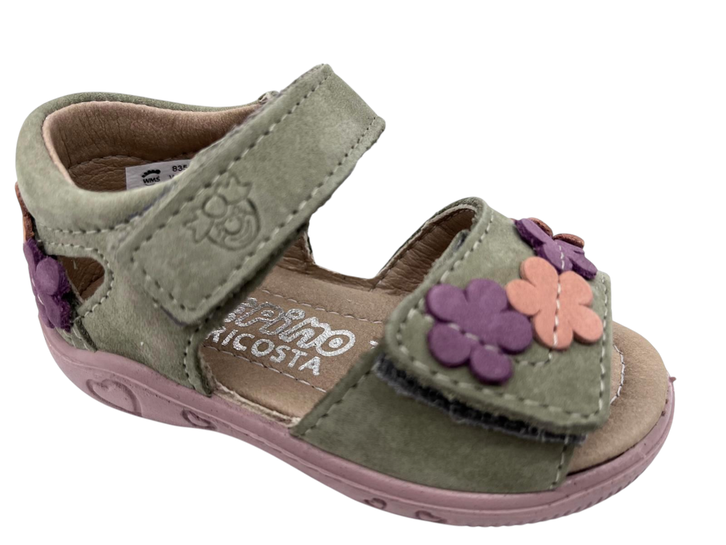 --Ricosta--	Tildi (19)