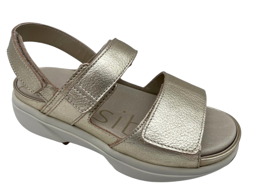 --Xsensible--	Aruba (38)